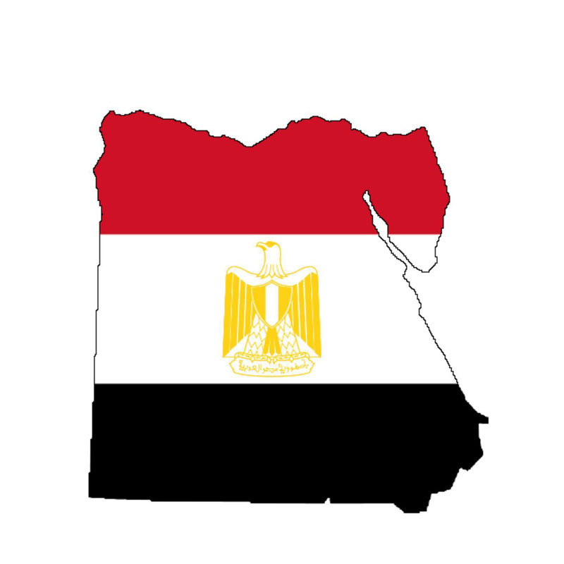 Volkrays Creative Car Sticker  - Car Accessories Egypt avis et prix
