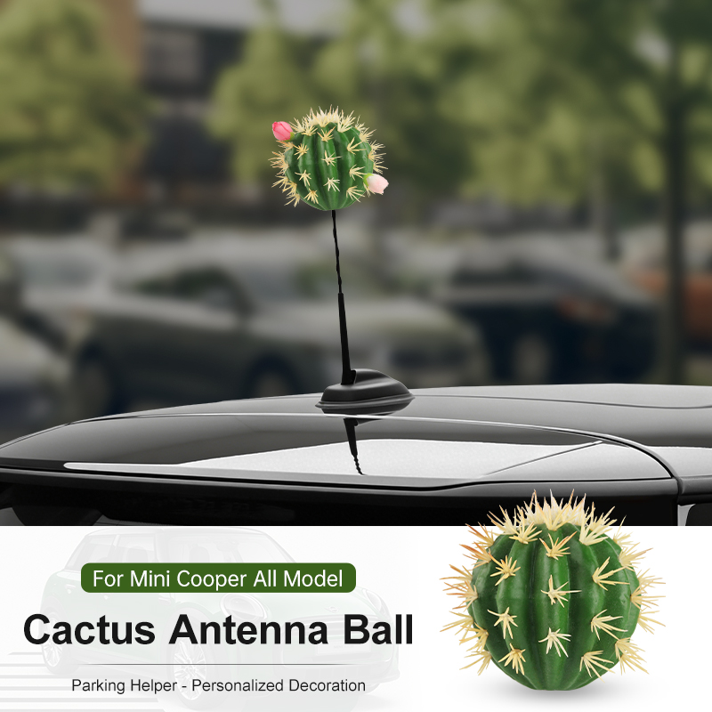 Car Roof Antenna Cactus Shape  - Car Accessories You Need avis et prix